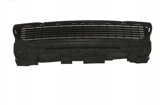 Mercedes-Benz A W169 Front bumper lower grill A1698850023