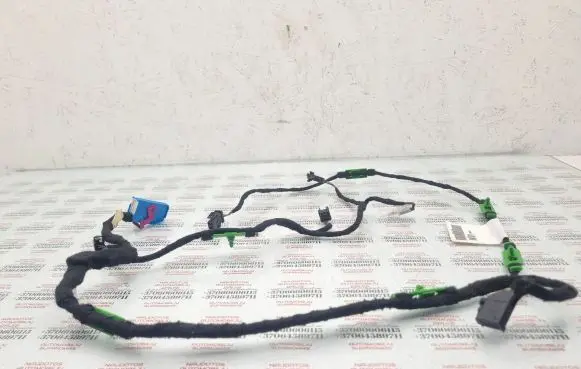Front door wiring loom
