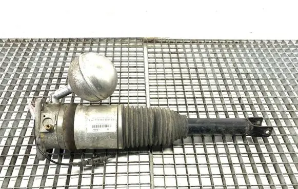 Volkswagen Phaeton Rear shock absorber/damper 3D0616002N