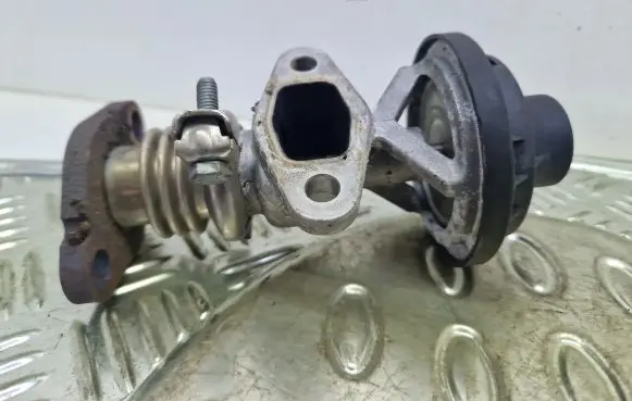 Skoda Fabia Mk1 (6Y) EGR valve 038131501AG 22477