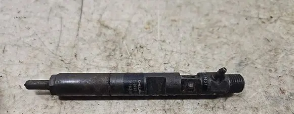 Renault Kangoo I Fuel injector EJBR05102D 3115CB19F54