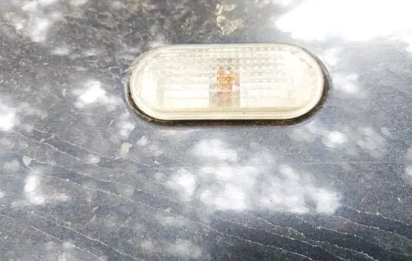 Front fender indicator light