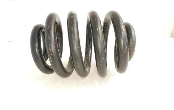 Rear coil spring