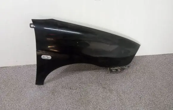 Seat Ibiza III (6L) Fender