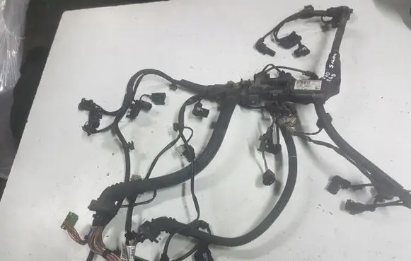 Engine installation wiring loom