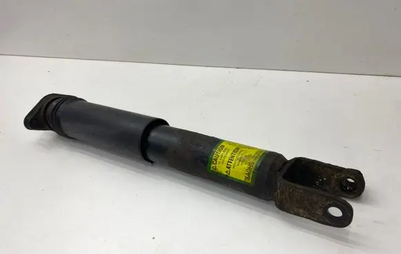 Cadillac CTS Rear shock absorber/damper 25770450