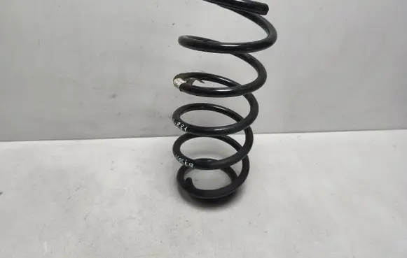 Front coil spring