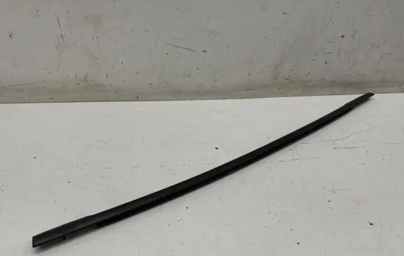 Rear door glass trim molding