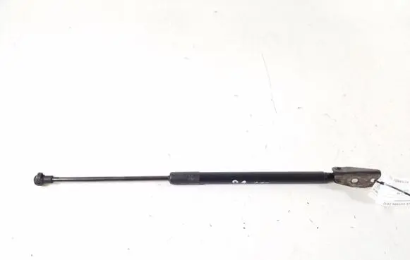 Tailgate strut