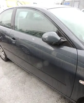 Seat Ibiza III (6L) Front door