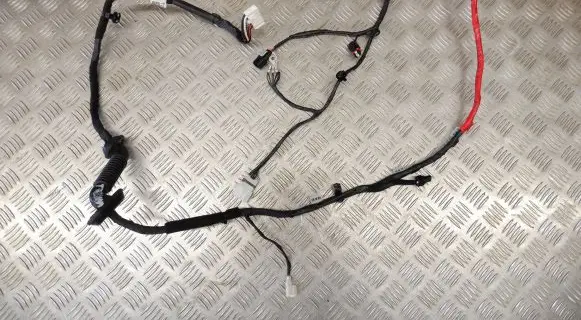 Hyundai Ioniq 5 Other wiring loom 91650G170AB