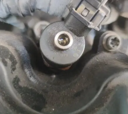 Fiat Punto (188) Fuel injector 0445110019