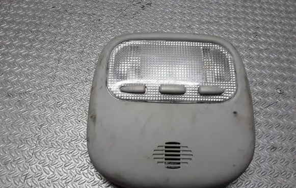 Citroen C5 Front seat light