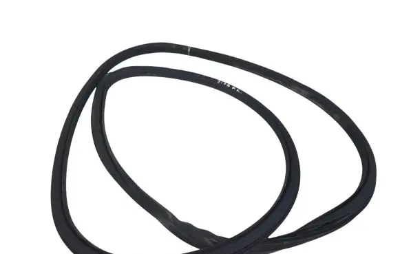 Opel Insignia A Front door rubber seal 