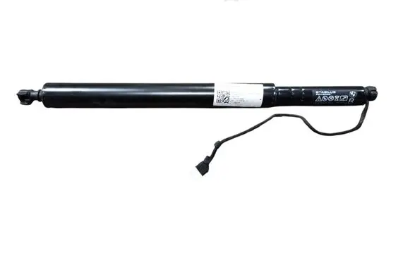 Tailgate/trunk strut/damper