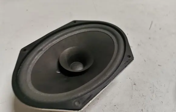 Ford Mustang V Front door speaker 8R3T18808CA