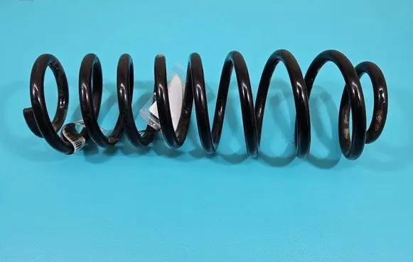Rear coil spring