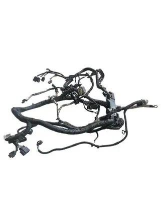 Engine installation wiring loom