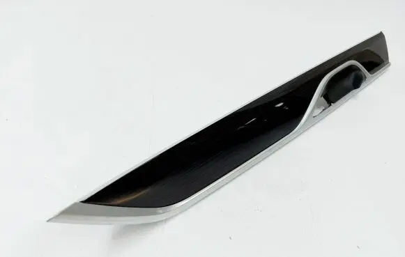 Other rear door trim element