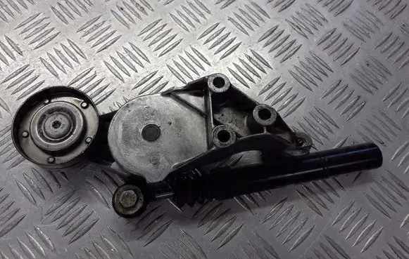Skoda Octavia Mk1 (1U) Alternator belt tensioner pulley 04343010-002