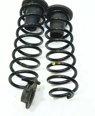 Rear coil spring