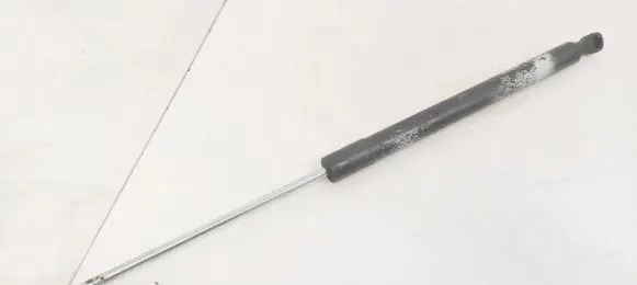 Renault Laguna III Tailgate/trunk strut/damper 844300001R