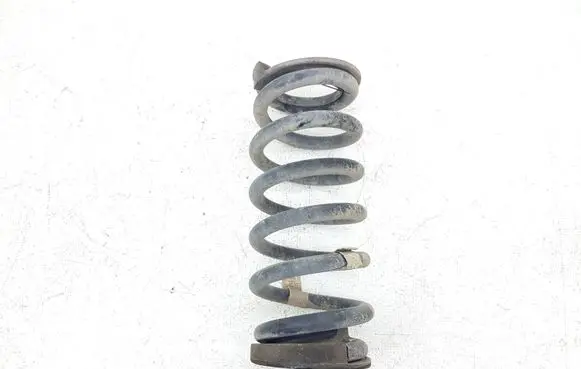 Ford Edge II Rear coil spring F2GC5560 F2GC5560FND Q48PA