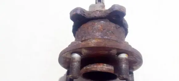 Rear wheel hub