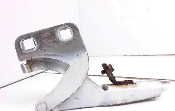 Citroen Berlingo Engine bonnet/hood hinges