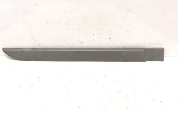 Renault Megane II Rear door trim (molding) 8200648672