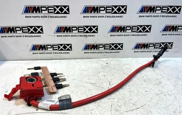 BMW X3 F25 Positive cable (battery) 9270244 9225099
