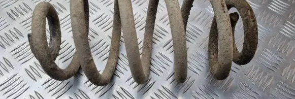 Opel Vectra C Rear coil spring