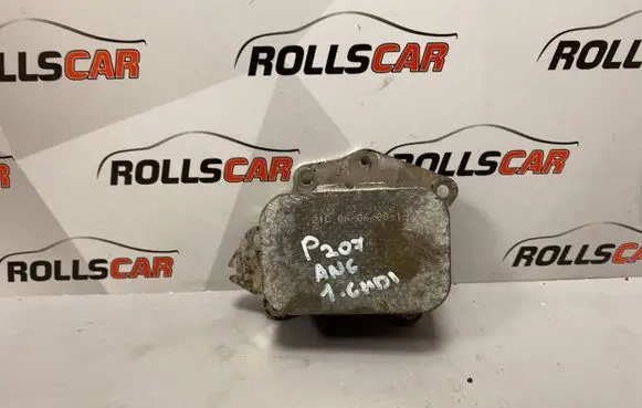 Peugeot 207 Engine oil radiator 21C06060812