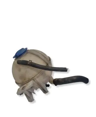 Volkswagen Crafter Coolant expansion tank/reservoir 9065010103
