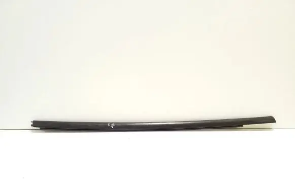 Ford Ecosport Rear door glass trim molding