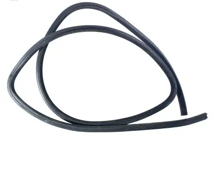 Dodge Charger Rear door rubber seal (on body) 