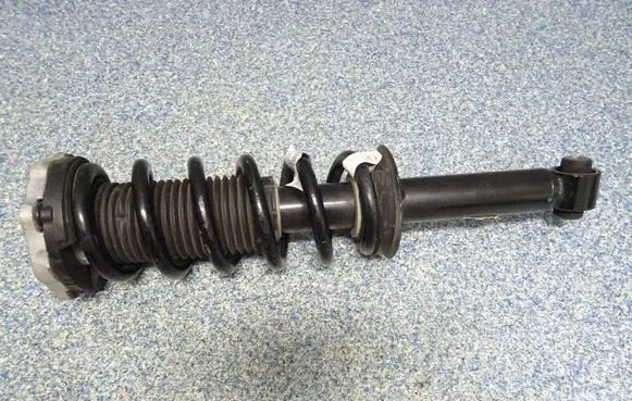 BMW X3 G01 Rear shock absorber with coil spring 6871802