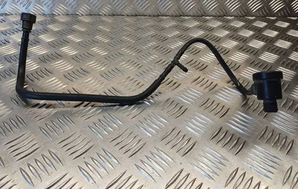 Citroen Berlingo Vacuum line/pipe/hose 