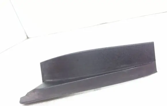 Rear/tail light trim molding