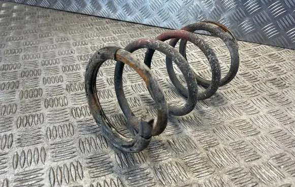 Rear coil spring