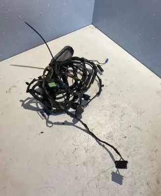 BMW 5 GT F07 Front door wiring loom 9210120 150048920095 9210119