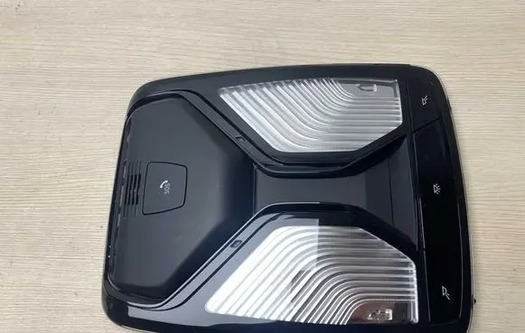 BMW 3 G20 G21 Front seat light 5A25160