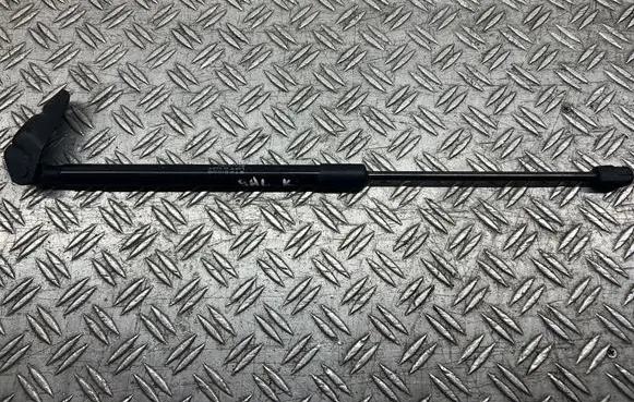 Tailgate/trunk strut/damper