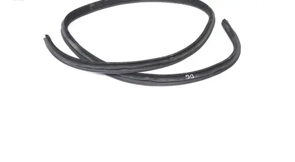 Ford Mustang V Rubber seal rear door 