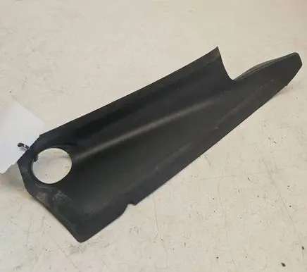 Rear/tail light trim molding