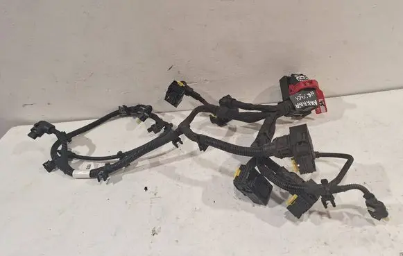 Renault Scenic IV - Grand scenic IV Gearbox/transmission wiring loom 2517256425