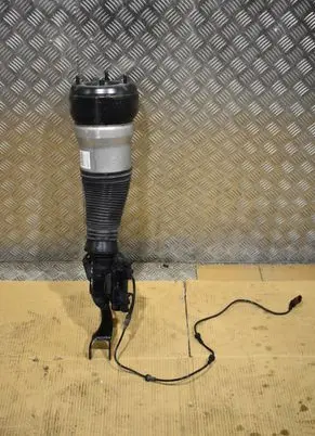 Mercedes-Benz S C217 Front shock absorber/damper A2173203001