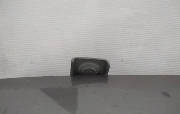 Renault Scenic III - Grand scenic III Tailgate/trunk/boot hinge