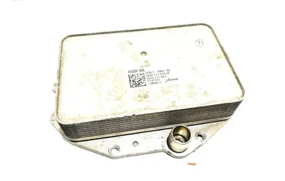 Porsche Cayenne (9Y0 9Y3) Engine oil radiator 06M117015M 06M117A01 8142747