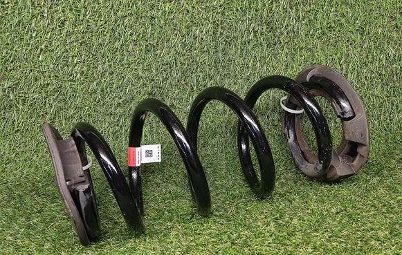 Rear coil spring
